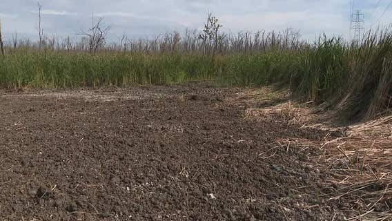 Dallas water pipe that leaked millions of gallons of clean water now fixed, city says