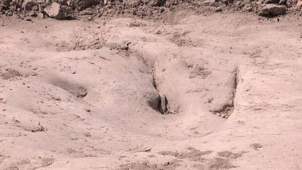 Giant dinosaur tracks found in North Texas at Dinosaur Valley State Park