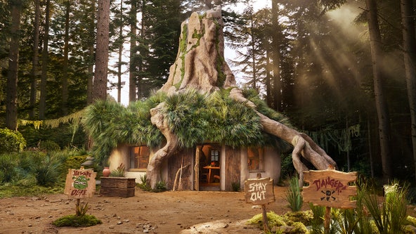 ‘Get into my swamp!’: Spend the night in Shrek’s mud-laden treehouse for free