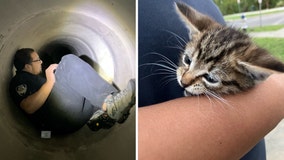 Dallas Animal Services officers crawl through drainage ditch to save kitten