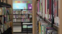 Dallas halts plan to close neighborhood libraries
