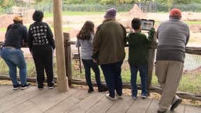 Kids test SMU math app at Dallas Zoo to help bring learning to life