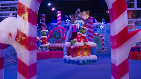 ICE! exhibit now open at the Gaylord Texan in Grapevine
