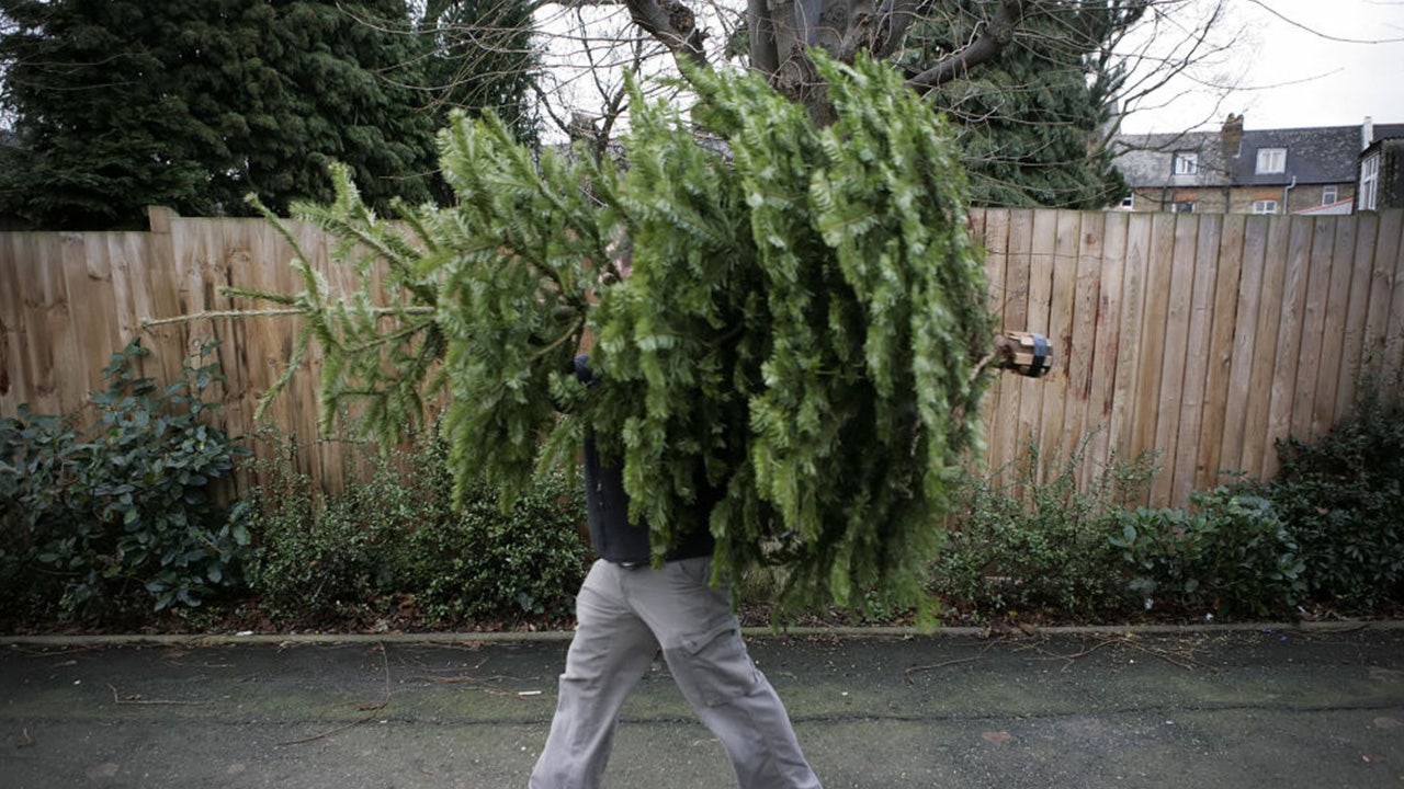 Where to recycle your Christmas tree in Dallas-Fort Worth