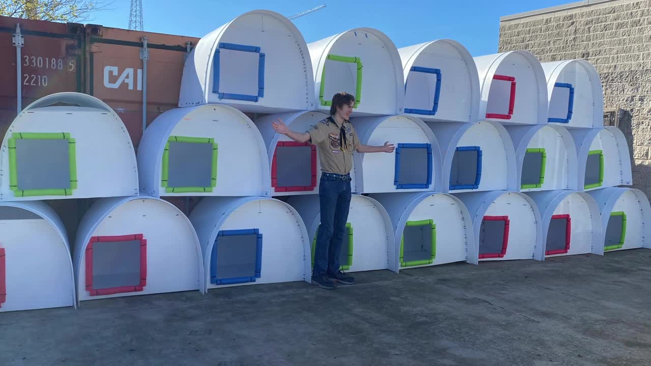 Royse City Boy Scout builds doghouses for Dallas Animal Services - Vimarsana News