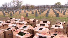 Wreaths Across America to honor veterans at Dallas-Fort Worth National Cemetery