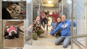 Pennsylvania animal shelter empties every kennel just in time for Christmas: 'A true miracle'