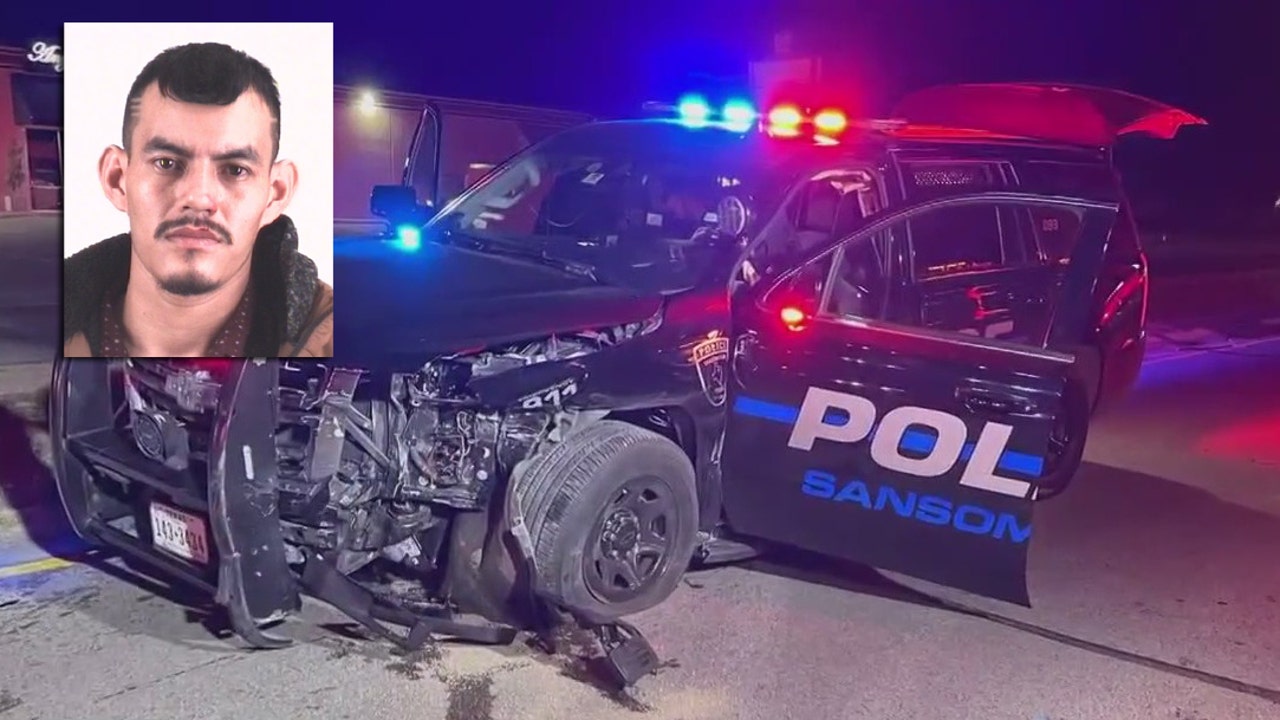 Sansom Park Driver Charged With DWI After Crash Involving K-9 Unit ...