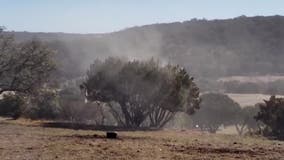 Allergy Report: Aggressive cedar fever season affecting many in North Texas