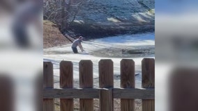 Granbury man jumps into freezing pond to save neighbor's dog