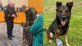 Weatherford K-9 receives Purple Heart after being shot in line of duty