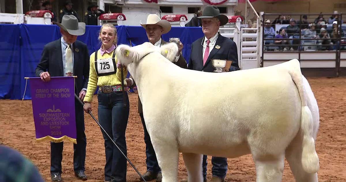 'Leadfoot' named grand champion at 2024 Fort Worth Stock Show & Rodeo ...