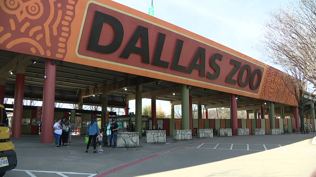 Dallas Zoo asks city council for $30M allocation from bond money for new projects - Vimarsana News
