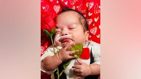 PHOTOS: North Texas NICU babies dress up for Valentine's Day