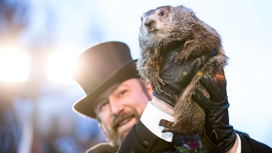 FILE - Punxsutawney Phil is held up by his handler for the crowd to see during the ceremonies for Groundhog day on February 2, 2018 in Punxsutawney, Pennsylvania. (Photo by Brett Carlsen/Getty Images)
