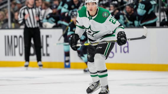 Johnston, Oettinger lead Stars to 3-0 win over Kraken