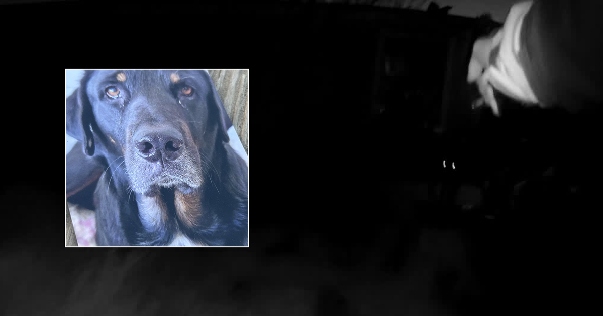 Kaufman County sheriff's deputy shoots family dog while responding to ...