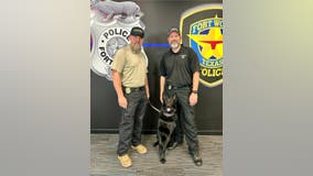 Fort Worth shelter dog becomes impressive police K-9 as he combats fentanyl crisis