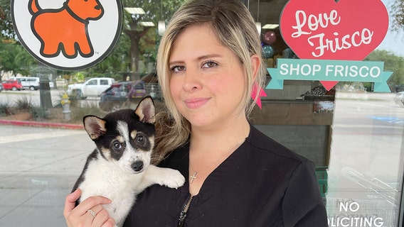 Man wearing a disguise returns stolen puppy to Frisco pet store