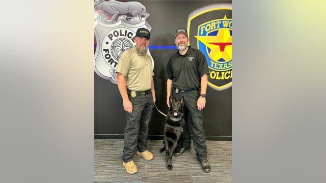Fort Worth shelter dog becomes impressive police K-9 as he combats fentanyl crisis