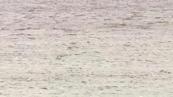 Dallas ME identifies 2 men who drowned at Joe Pool Lake