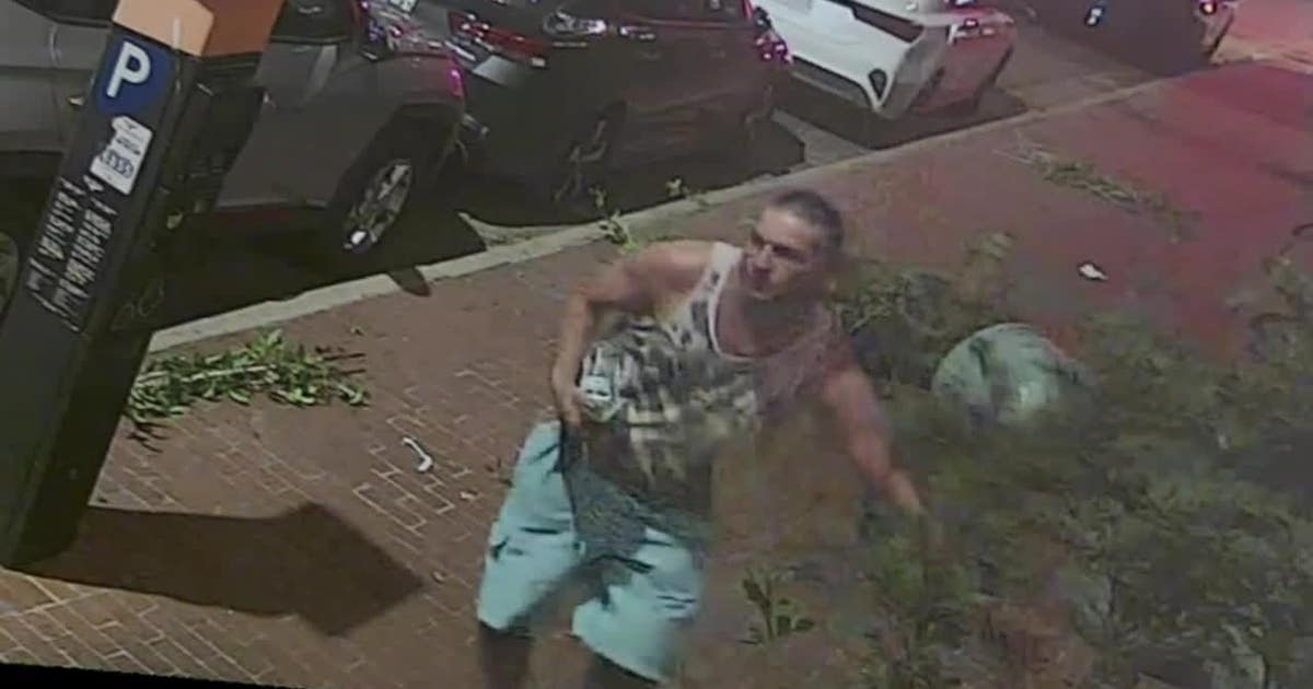 Fort Worth police searching for man who trashed landscaping, flower ...