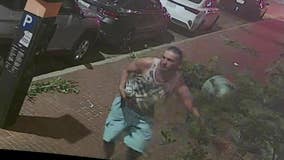 Fort Worth police searching for man who trashed landscaping, flower pots in downtown