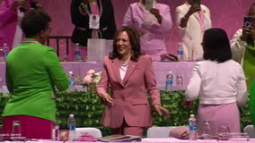 Vice President Kamala Harris to Alpha Kappa Alpha crowd in Dallas: 'When we vote, we make history'