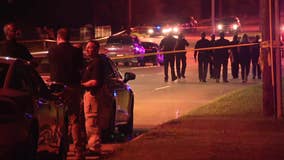 Woman dies after being struck by Dallas police squad car