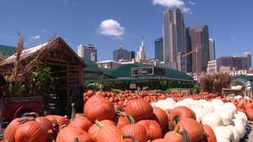 First Day of Fall 2024: Here's a list of things to do in DFW during spooky season