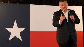 Cruz race now a 'tossup' should be warning for Texas GOP, says expert