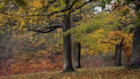 When will leaves change color in North Texas?