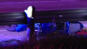 Motorcyclist killed after hitting stray dog on Dallas freeway