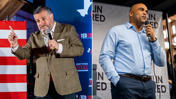Cruz-Allred Senate race the most expensive of 2024 election cycle