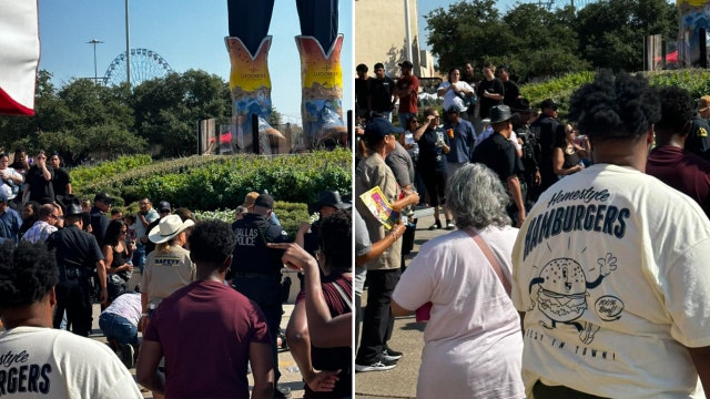 Settlement reached in case of boy 'trampled' by police horse at State Fair of Texas