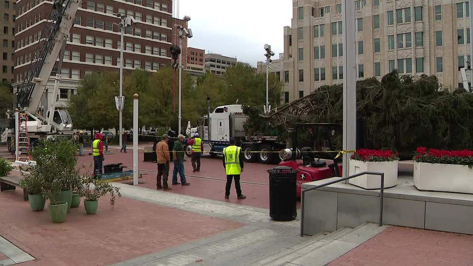Live Christmas tree arrives in Sundance Square FOX 4 DallasFort Worth