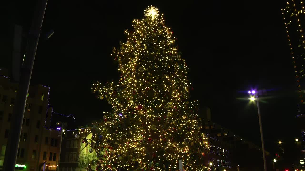 WATCH Sundance Square lights largest live Christmas tree in Texas