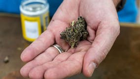 North Texas police chief says Abbott's THC age limit doesn't address real issue