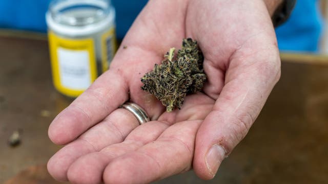 North Texas police chief says Abbott's THC age limit doesn't address real issue