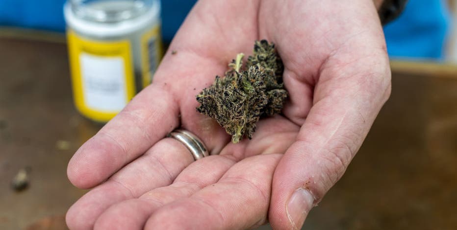 North Texas police chief says Abbott's THC age limit doesn't address real issue