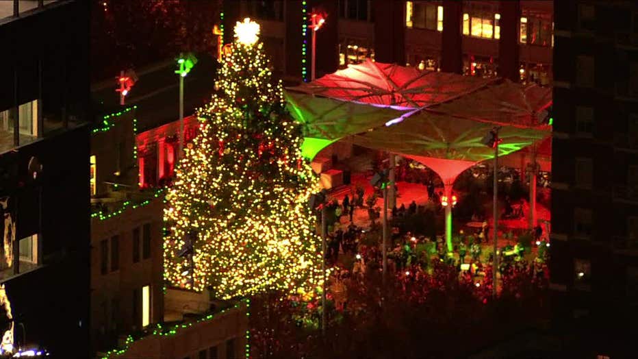 WATCH LIVE Sundance Square to light largest live Christmas tree in