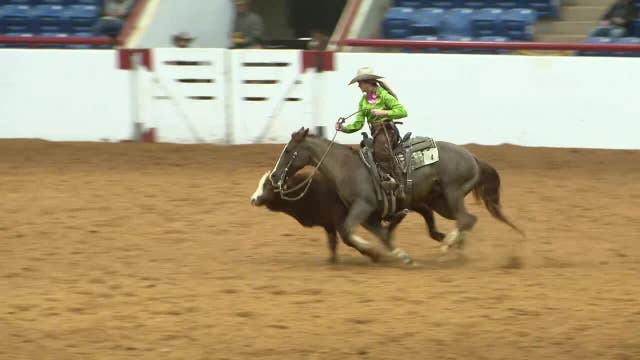 Fort Worth Stock Show & Rodeo: Check out what's going on this weekend