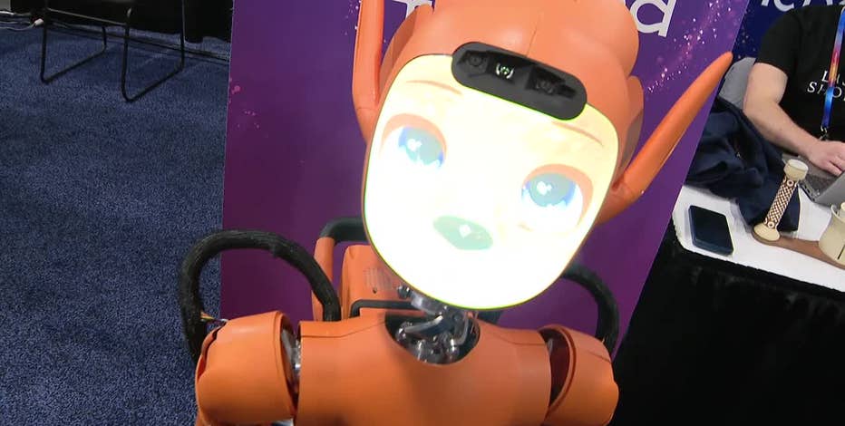 CES preview offers a sneak peek at the new tech for 2025