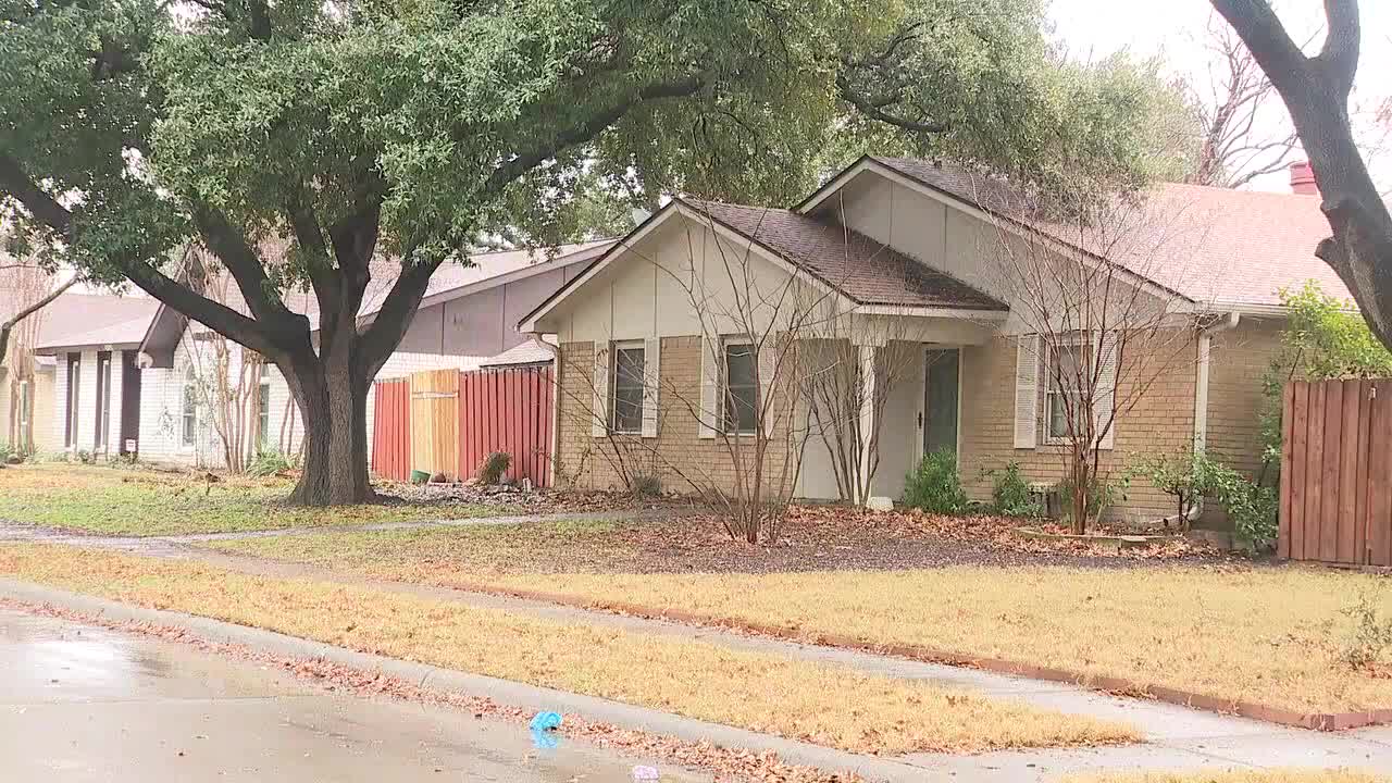 Animal rescuers describe disturbing conditions of The Colony home: ‘Dead cats in the freezer’