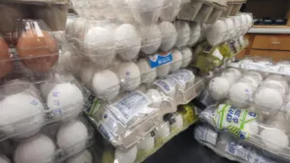 Texas border patrol seize raw eggs, rooster blades, 64 pounds of meth