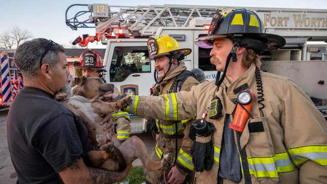 Fort Worth firefighters save dog from house fire