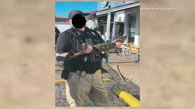 8 Dallas gang members arrested; alligator seized