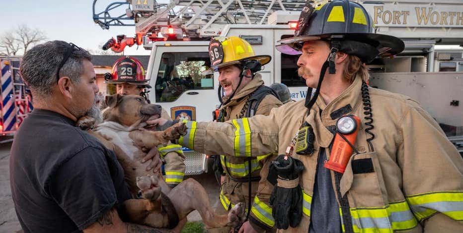 Fort Worth firefighters save dog from house fire