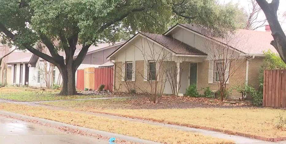 Animal rescuers describe disturbing conditions of The Colony home: 'Dead cats in the freezer'