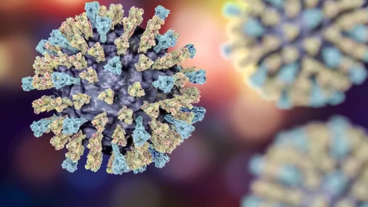 Texas measles outbreak 2025: Health officials confirm 505 cases in ...
